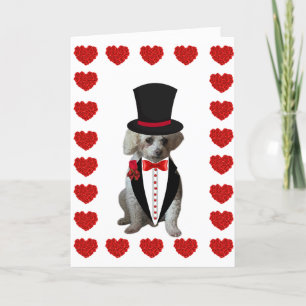 Grattis på Alla hjärtans dag, Pudel Tuxedo-anteckn Anteckningskort