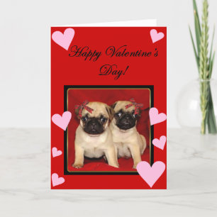 Grattis på Alla hjärtans dag Pugs hälsningskort Helgkort