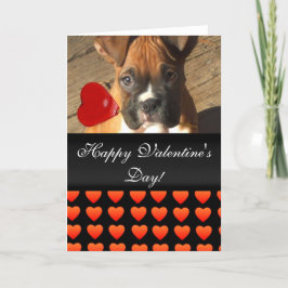 Grattis på Alla hjärtans dagars Boxer-hund-kort Helgkort
