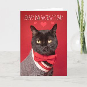 Grattis på alla hjärtans daghandtag, svart kattblå helgkort