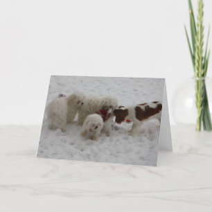 Grattis på det nya jobbet kort