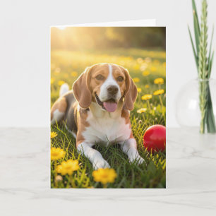 Grattis på din nya Beagle Kort