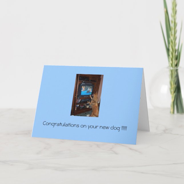 Grattis på din nya hund!!! kort (Framsida)