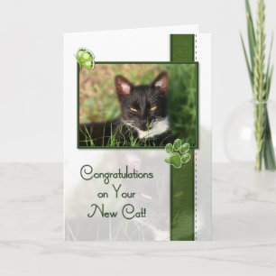 Grattis på din nya katt kort