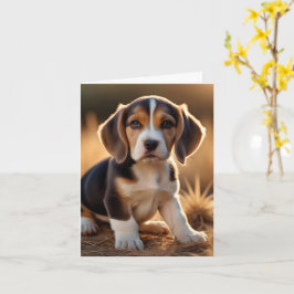 Grattis på ditt nya beaglekort kort