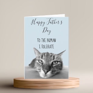 Grattis på fars dag från katt till människa I Roli Kort