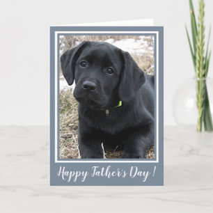 Grattis på fars dag - Söt svart labrador valp Kort