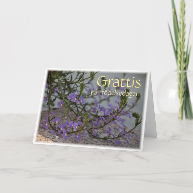 Grattis på födelse dagen CC0513-hälsningskort Kort (Framsida)