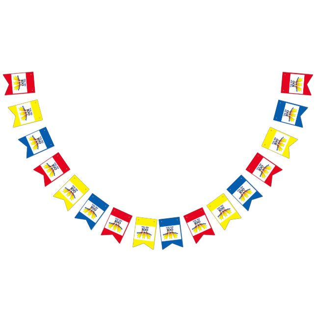 Grattis på födelsedagen 100 vimplar (Alla)