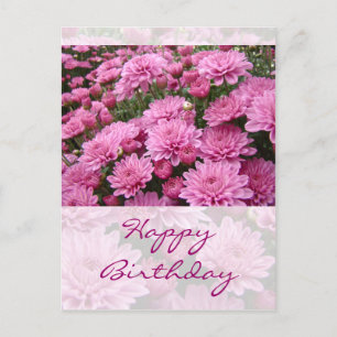 Grattis på födelsedagen - A Sea of Rosa Chrysanthe Vykort