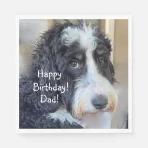 Grattis på födelsedagen Adsible Bernedoodle Pappersservett