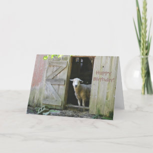 Grattis på födelsedagen Adsible Sheep Kort
