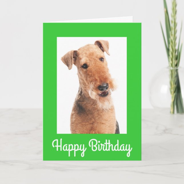Grattis på födelsedagen Airedale Terrier Hund Gree Kort (Framsida)