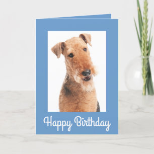 Grattis på födelsedagen Airedale Terrier Hund Gree Kort