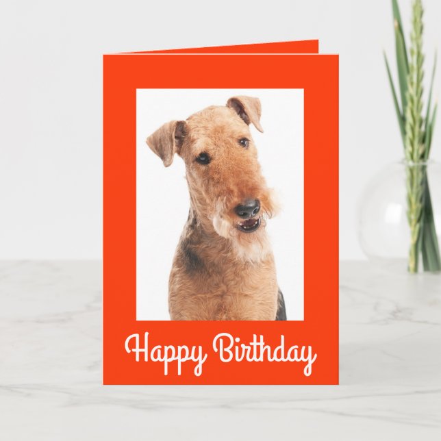 Grattis på födelsedagen Airedale Terrier-Hund-kort Kort (Framsida)