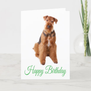 Grattis på födelsedagen Airedale Terrier-Hund-kort Kort