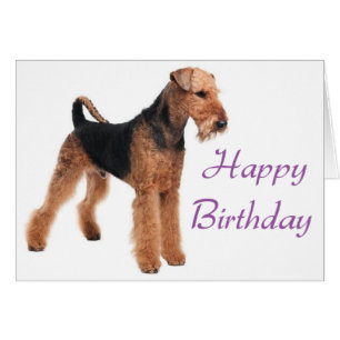 Grattis på födelsedagen Airedale Terrier Puppy Hun Hälsningskort