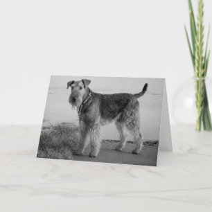 Grattis på födelsedagen Airedale Terrier Puppy-Hun Kort