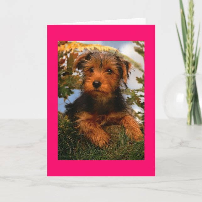 Grattis på födelsedagen Airedale Terrier Puppy Hun Kort (Framsida)