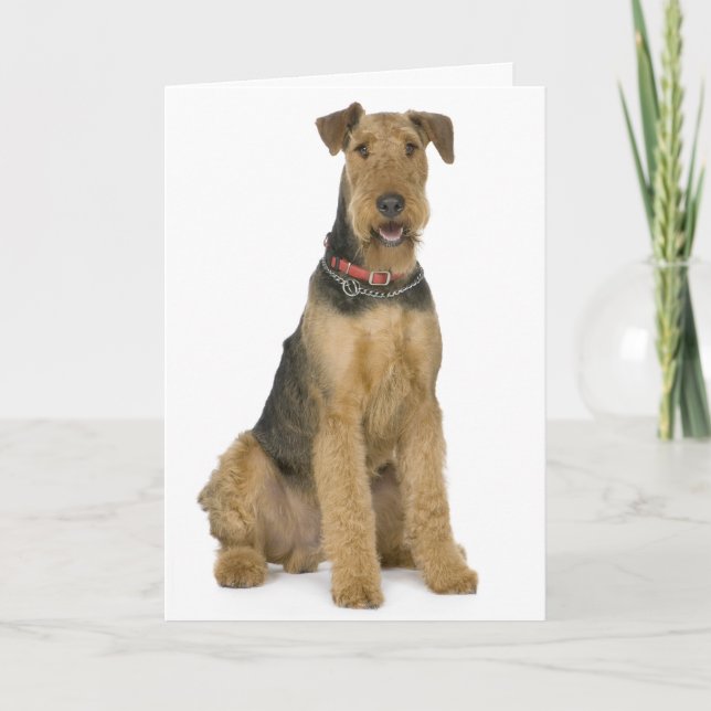 Grattis på födelsedagen Airedale Terrier Puppy Hun Kort (Framsida)