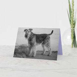 Grattis på födelsedagen Airedale Terrier Puppy Hun Kort