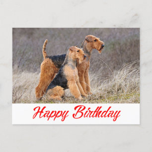 Grattis på födelsedagen Airedale Terrier Puppy Hun Vykort