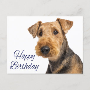 Grattis på födelsedagen Airedale Terrier Puppy Hun Vykort
