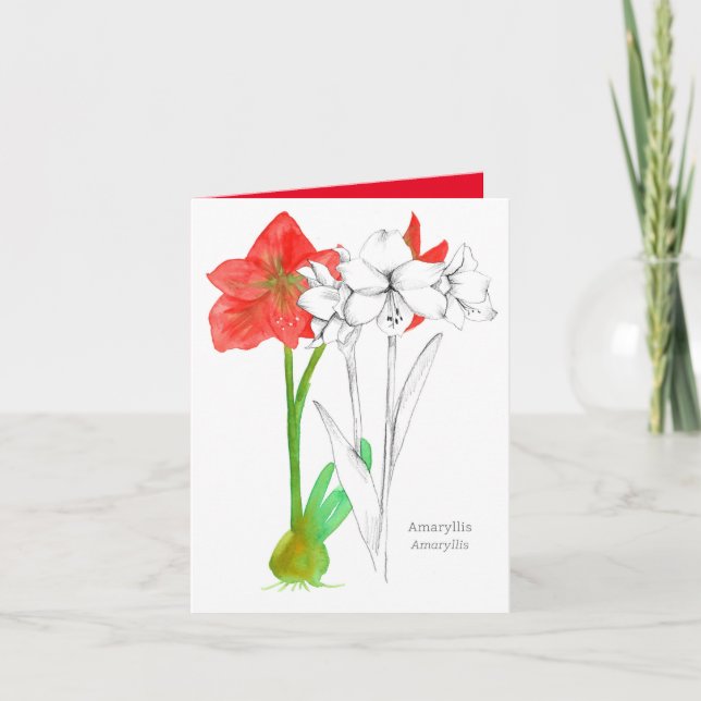 Grattis på födelsedagen Amaryllis-blommornas språk Kort (Framsida)