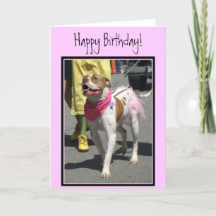 Grattis på födelsedagen American Bulldog-hälsnings Kort