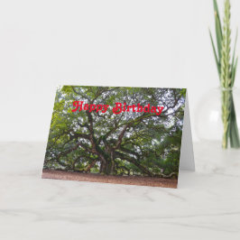 Grattis på födelsedagen Angel Oak South Carolina Kort
