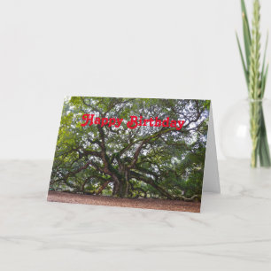 Grattis på födelsedagen Angel Oak South Carolina Kort