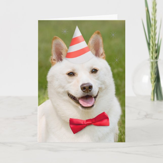 Grattis på födelsedagen any Shiba Inu Hund i Party Helgkort (Framsida)
