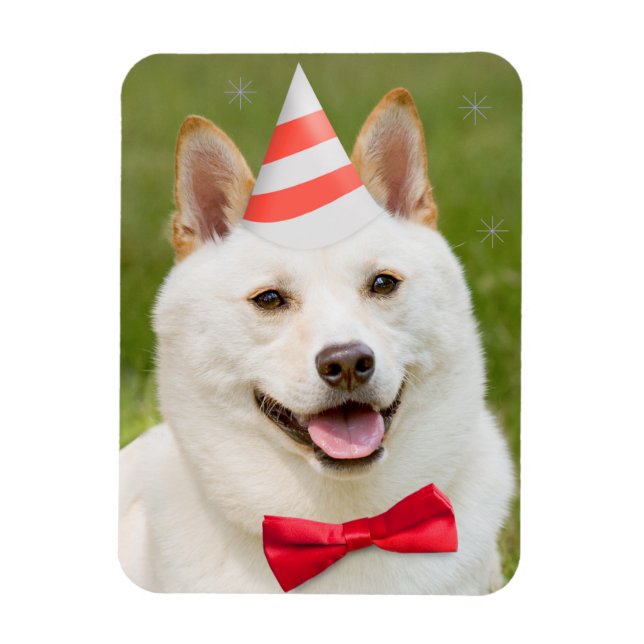 Grattis på födelsedagen any Shiba Inu Hund i Party Magnet (Vertikal)