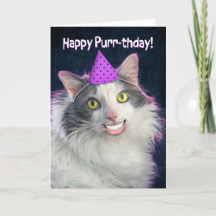 Grattis på födelsedagen är en fin katt med humle S Helgkort