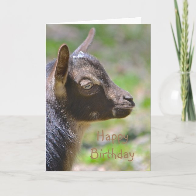 Grattis på födelsedagen Baby Goat Kort (Framsida)