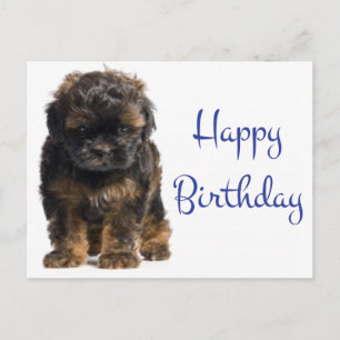 Grattis på födelsedagen Baby Havesisk mariy Hund Vykort