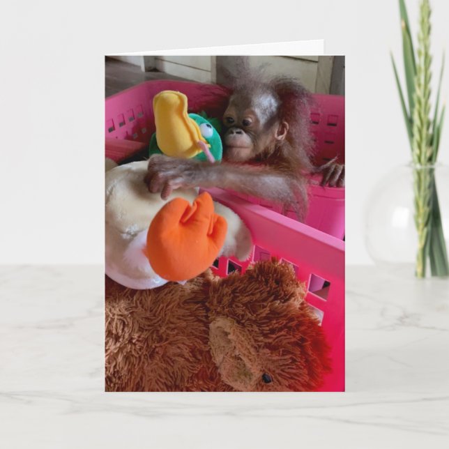 Grattis på födelsedagen Baby Orangutan Grabs Leksa Kort (Framsida)