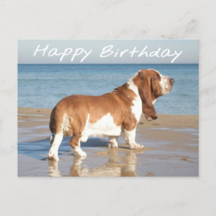 grattis på födelsedagen Basset Hound Puppy Hund-vy Vykort