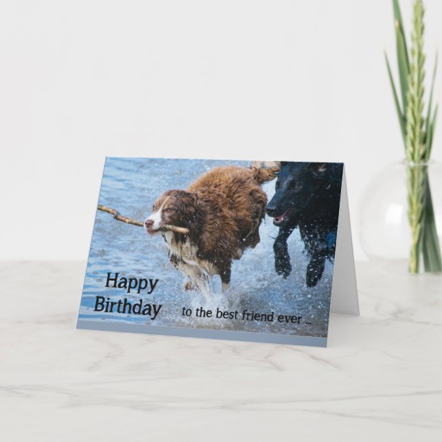 Grattis på födelsedagen bästa vän roliga gamla och kort (Framsida)
