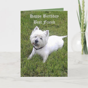 grattis på födelsedagen Bäste vän Kort