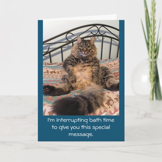 Grattis på födelsedagen Bath Time Kimber Cat Kort (Framsida)