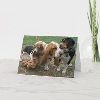Grattis på födelsedagen Beagle-kupongkort Kort