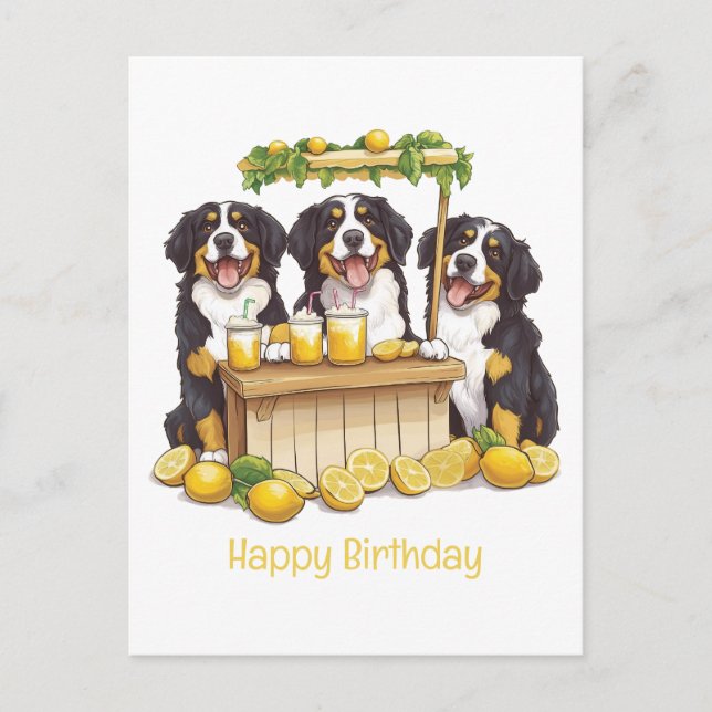 Grattis på födelsedagen Bernese Mountain Dog Lemon Vykort (Framsida)