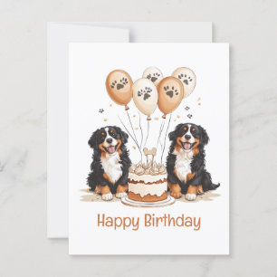 Grattis på födelsedagen Bernese Mountain Dogs Vykort