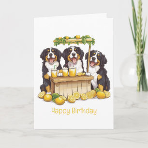 Grattis på födelsedagen Bernese Mountain Hund Lemo Kort