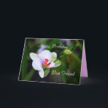 Grattis på födelsedagen Best Friend Phalaenopsis O Kort<br><div class="desc">Familjen Orchid är enligt Wikipedia en mångfasetterad och utbredd familj av monokoter i ordningen Asparagales. Den anses för närvarande vara den största familjen av blommar växter, med mellan 21 950 och 26 049 arter som för närvarande är godkända och som återfinns i 880 släkten. Antalet orkidéarter är mer än dubbelt...</div>