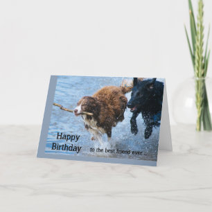 Grattis på födelsedagen Best Friend Roligt Old & C Kort