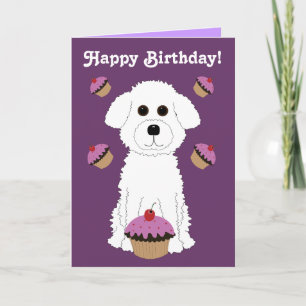 Grattis på födelsedagen Bichon med purpurfärgad Kort