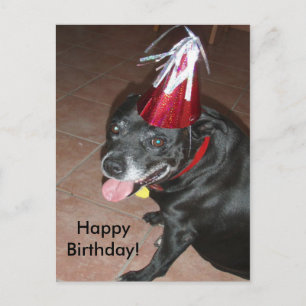 Grattis på födelsedagen Black Hund med Red Hat Vykort