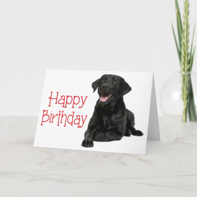 Grattis på födelsedagen Black Labrador Puppy Hund  Kort (Framsida)